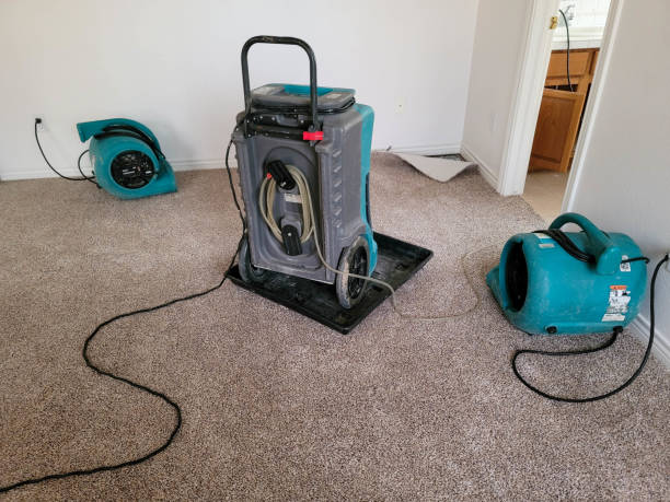 Best Sewage cleanup and water damage restoration  in Babbitt, MN