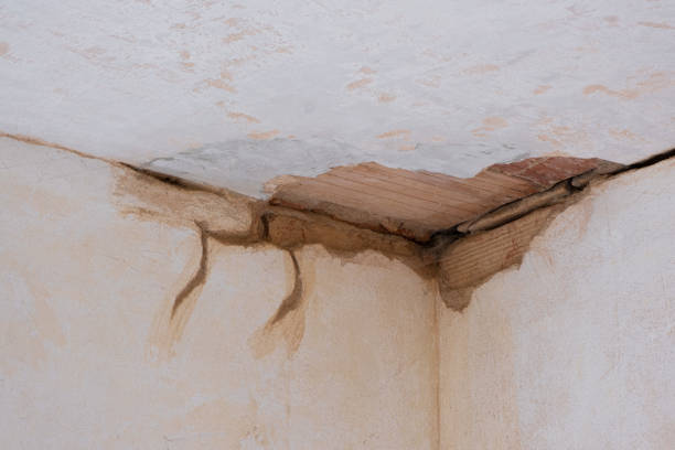Best 24/7 water damage repair  in Babbitt, MN
