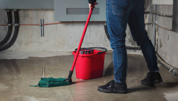 Best Water damage restoration services  in Babbitt, MN
