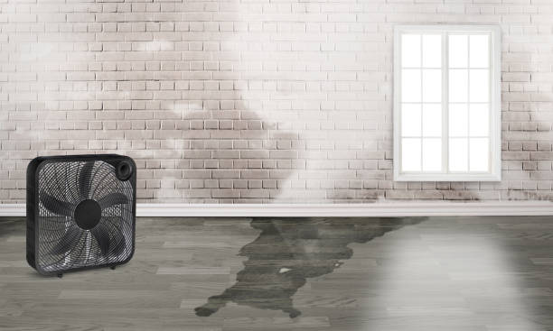 Local water damage restoration in Babbitt, MN