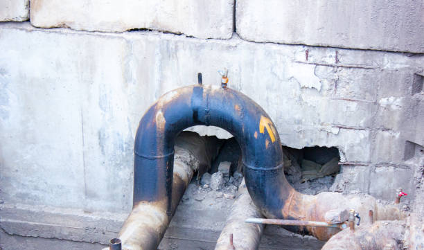 Best Mold removal after water damage  in Babbitt, MN